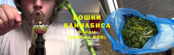 стаф Белокуриха