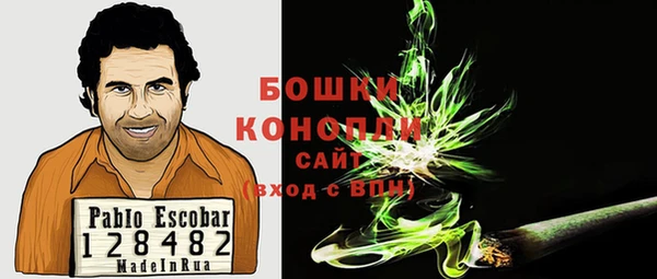 PSILOCYBIN Баксан
