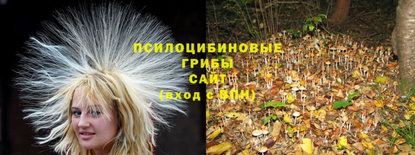 трава Балабаново