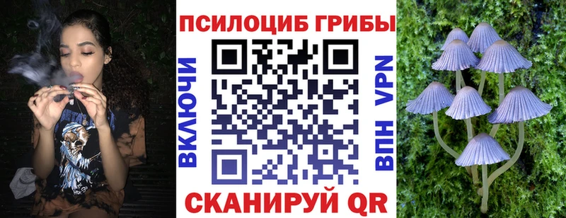 Галлюциногенные грибы Cubensis  ОМГ ОМГ зеркало  Новоаннинский 